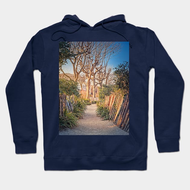 Narrow footpath in the park Hoodie by psychoshadow